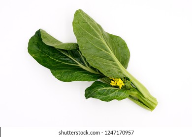 Choi Sum Vegetable
