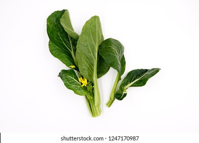 Choi Sum Vegetable
