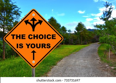 The Choice Is Yours, Orange Road Sign. 