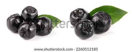 Chokeberry with leaf isolated on white background. Black aronia berries