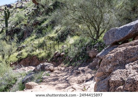 Cholla Trail trail down from Camelback Mountain in Phoenix, Arizona with gentle ascent 