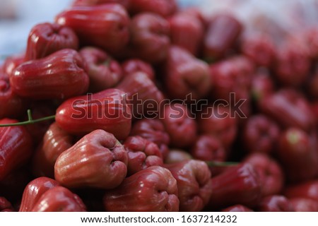 chompoo fruit roseapple fruitred fruits