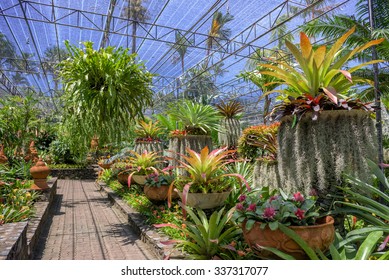 CHONBURI, THAILAND - AUGUST 08, 2015: Beautiful garden decoration in Nong Nooch Tropical Botanical Garden. Nong Nooch Tropical Botanical Garden is a 500-acre botanical garden in Chonburi, Thailand. - Shutterstock ID 337317077