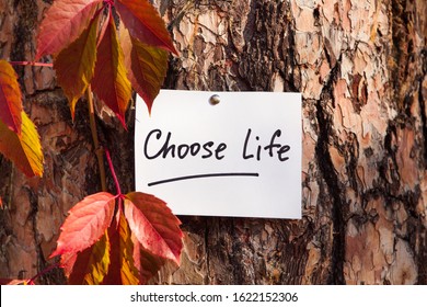 Choose Life - Card With Lettering, Christian Phrase Or Stop Abortion Concept