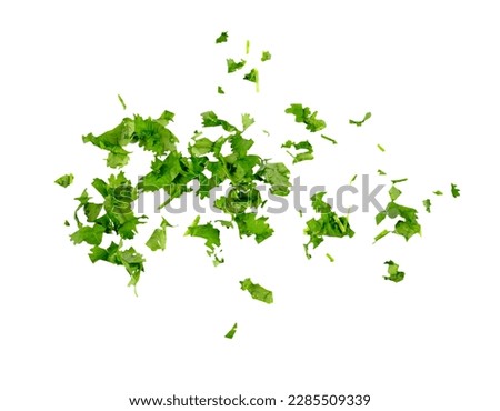 Chopped cilantro leaves as green seasoning flying, falling isolated on white background, clipping path 
