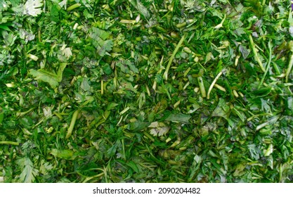 Chopped Coriander Green Leaves In One Picture 