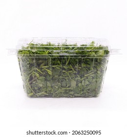 Chopped Coriander In Transparent Container