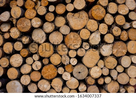 Chopped down tree trunks, cut pine logs stacked in a storage yard