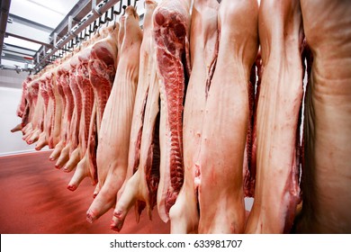 A lot of chopped fresh raw pork meat hanging and arrange and processing deposit in a refrigerator, in a meat factory. Horizontal view.
