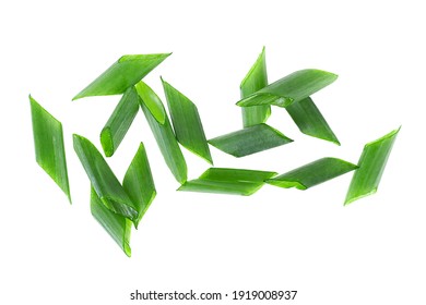 Chopped green onions isolated on a white background, top view. Spring chopped onions. Scallion.