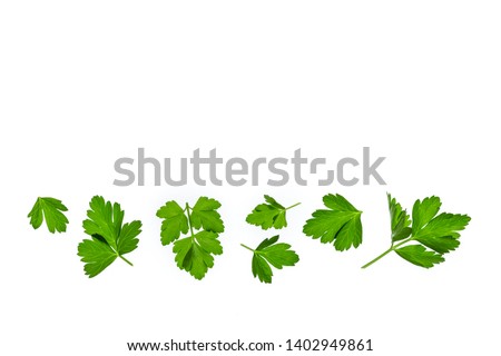 chopped parsley leaves isolated on white background with copy space above