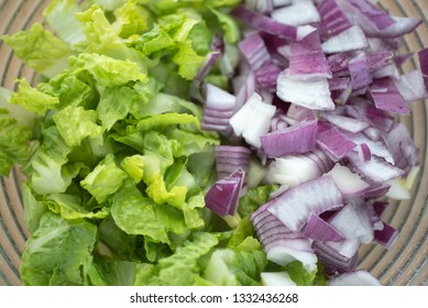 Chopped Romaine Lettuce And Red Onion In A Bowl, Close Up. 