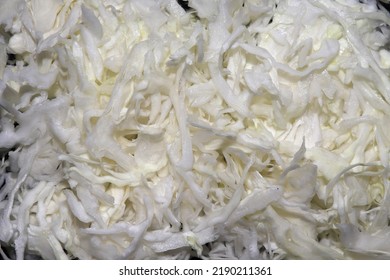 Chopped White Cabbage, Vegetable Background