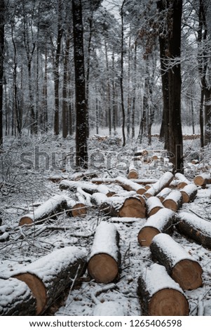 Similar – der weg ist das ziel