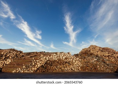 Chopped Wood Logs For Sale Use In Fire Place At Home Stored On Forest Woods Green Biomass Energy