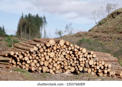 Chopped wood logs stack for fire place at home on forest woodlands green biomass energy
