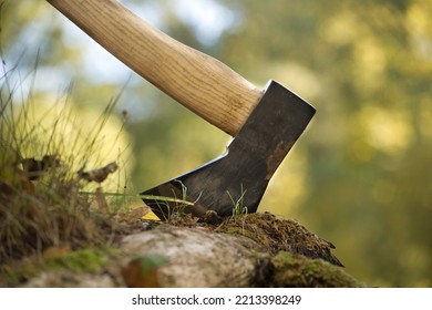 Chopper Or Axe Standing Upright In An Old Tree Stump Outdoors Against A Blurred Woodland Background