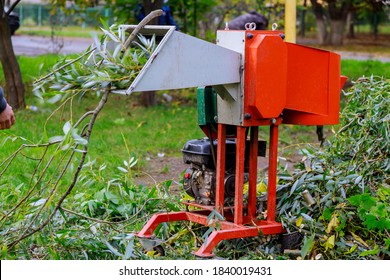 Chopper instrument gardener using shredder portable wood chipper - Shutterstock ID 1840019431