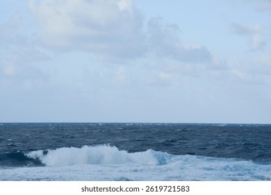 Choppy Ocean Waves Crashing Near a Rocky Shore: A view of rough ocean waves with whitecaps breaking near a dark, rocky shoreline under a cloudy sky.