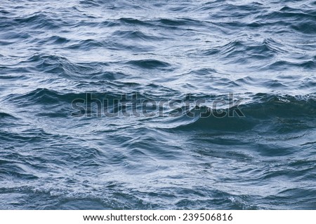 A choppy sea full of waves.