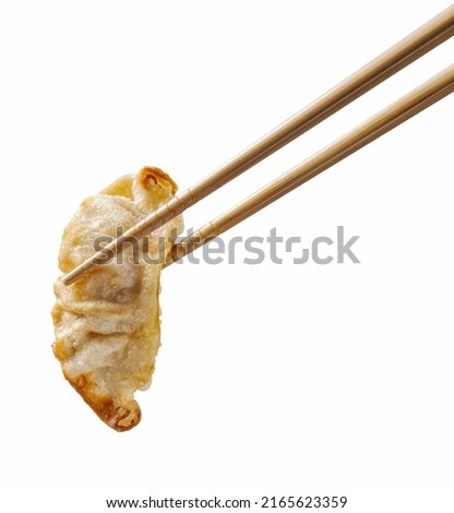 Chopsticks holding Japanese Pan-fried gyoza or dumplings snack isolated on white background.