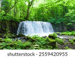 Choshi Otaki Waterfall, Oirase Gorge, located at Towada, Aomori, Japan