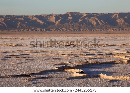 Chott El Jerid, flat dry salt lake between Tozeur and Kebili, Tunisia, North Africa, Africa