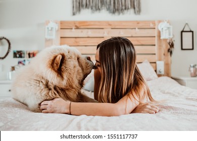 Chow Chow Dog Licking Girl's Face. Lying In Bed Relaxed And Carefree. Sharing Happiness And Love. Lifestyle