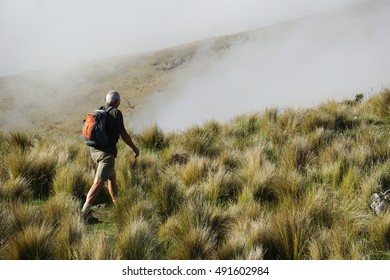 CHRISTCHURCH, NEW ZEALAND - MARCH: Man Walk Into The Wild On March, 2015, Christchurch, New Zealand