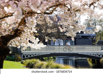 Christchurch Spring CBD New Zealand