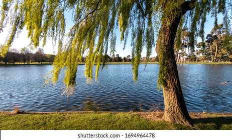 Christhurch Hagley Park. New Zealand