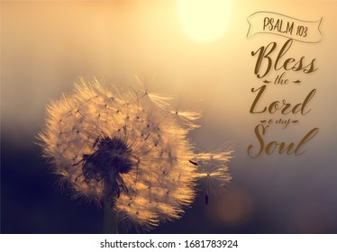 Psalms High Res Stock Images Shutterstock