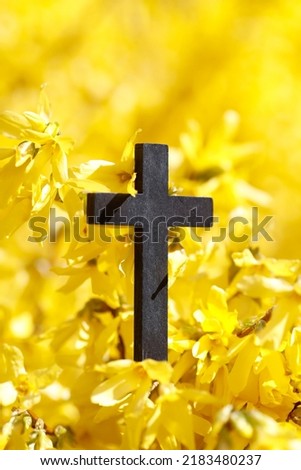 Christian cross against yellow broom flowers. 