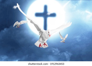 Christian Cross and pigeon flying with the night scene background