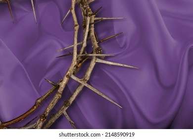 1,148 Purple crown of thorns Images, Stock Photos & Vectors | Shutterstock