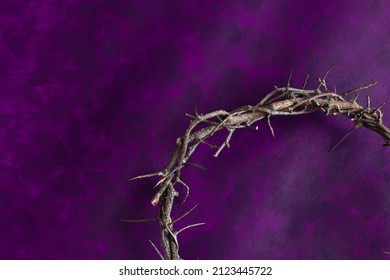 Christian crown of thorns on a dark purple background with copy space
