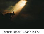 Christian praying to God and man shouting with arms raised to God, pain and trial and sorrow darkness and bright light and rays, hope and despair concept
