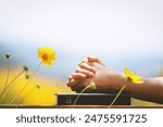 Christian praying with hands together on the holy bible and yellow flower background swaying in the wind
