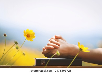 Christian praying with hands together on the holy bible and yellow flower background swaying in the wind
