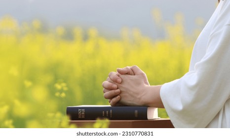 A Christian praying with his hands together on a holy bible on a spring day and a beautiful spring scenery with yellow rapeseed flowers swaying in the wind
 - Shutterstock ID 2310770831