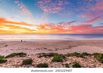 Christies beach with silhouette of a surfer with surfing board and a dog at sunset, South Australia - Powered by Shutterstock