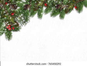 Christmas Background With Border Of Firtree And Holly On White