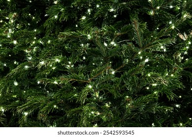 Christmas background. Close-up on fir branches with glowing garland. - Powered by Shutterstock