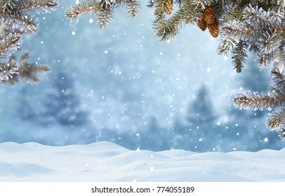 Christmas background with fir tree branch.Merry Christmas and happy New Year greeting card with copy-space.Winter landscape with snow  - Shutterstock ID 774055189