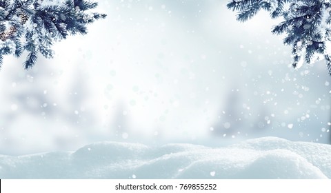 Christmas background with fir tree branch.Winter landscape