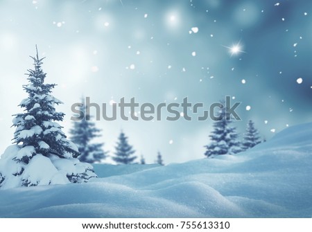Christmas background with fir trees and blurred bokeh.Winter landscape