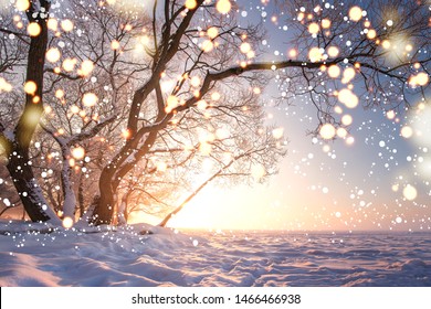 Christmas background. Magic glowing snowflakes in winter nature landscape. Beautiful winter scene with bokeh. Winter fairytale. Illuminated lights shine tree - Shutterstock ID 1466466938