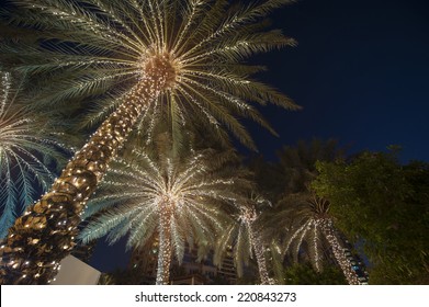 Christmas Background Palm Tree 