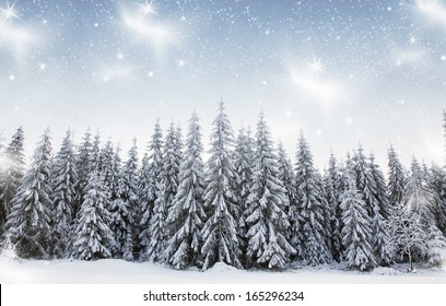 Christmas Background With Snowy Fir Trees