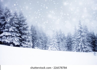 Christmas background with snowy fir trees  - Shutterstock ID 226578784